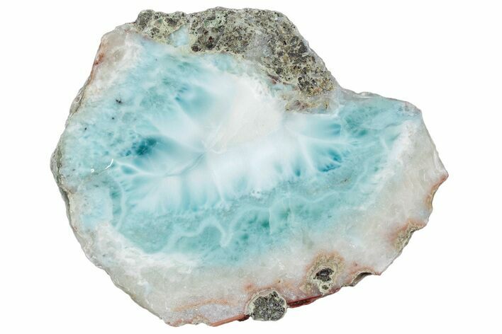 Slice Of Larimar Replaced Wood Limb Cast #316968